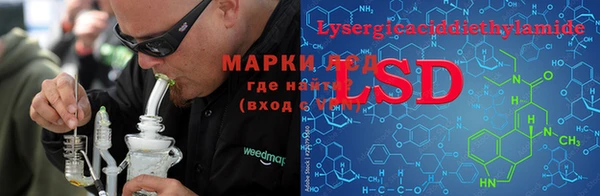 индика Абаза