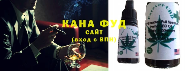 индика Абаза