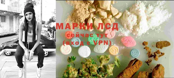 индика Абаза