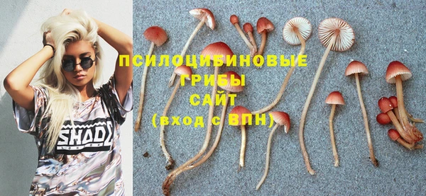 а пвп мука Абдулино