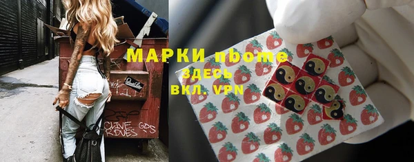 индика Абаза