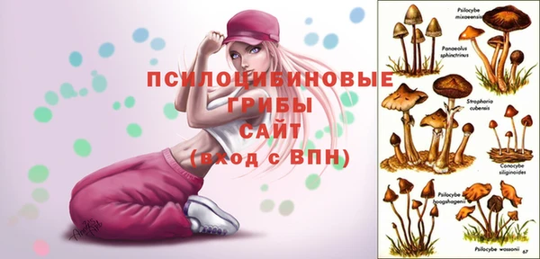 а пвп мука Абдулино